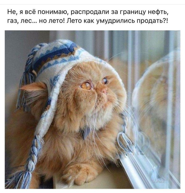 ожидание весны