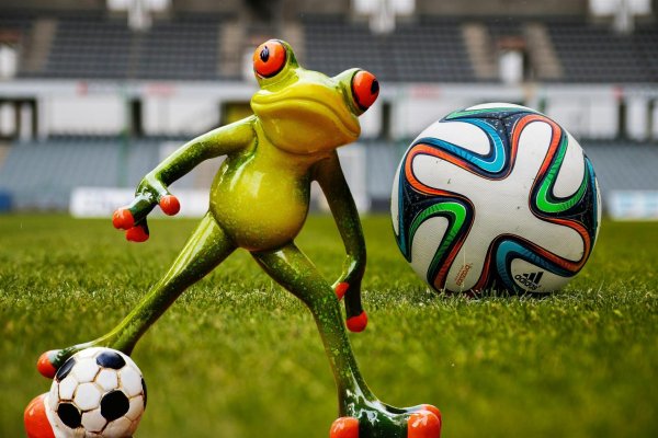 футбольная лягушка