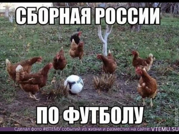 сборная россии