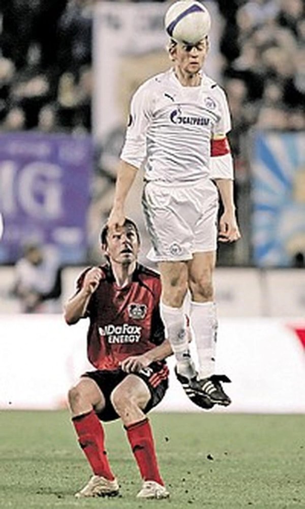 павел погребняк зенит