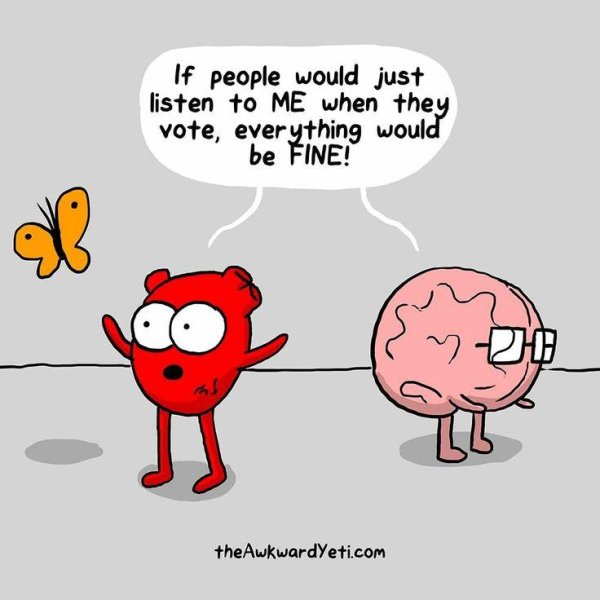 heart vs brain