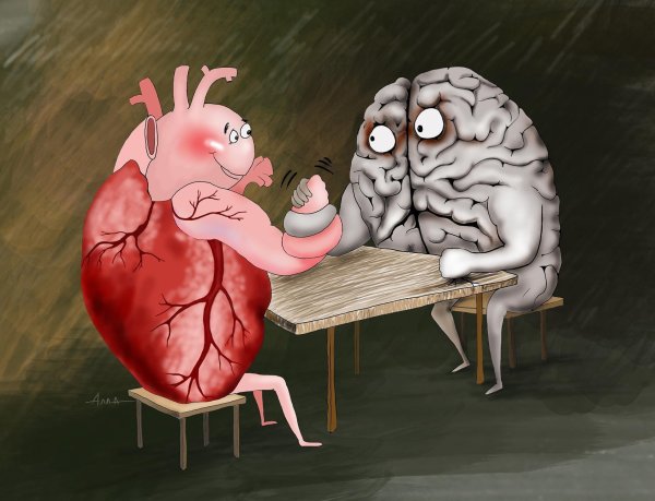 мозг карикатура