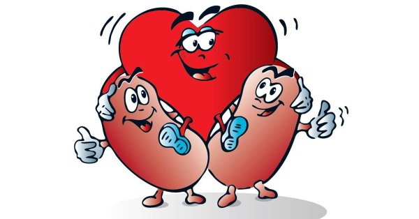 веселая почка