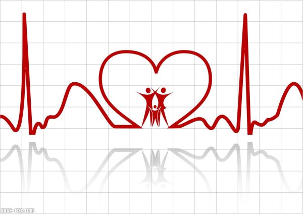 сердцебиение рисунок