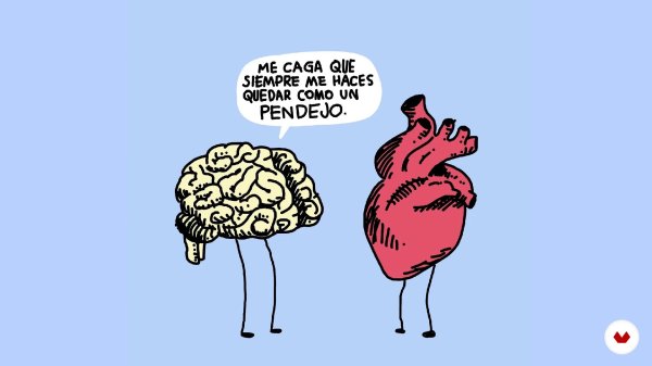 heart vs brain