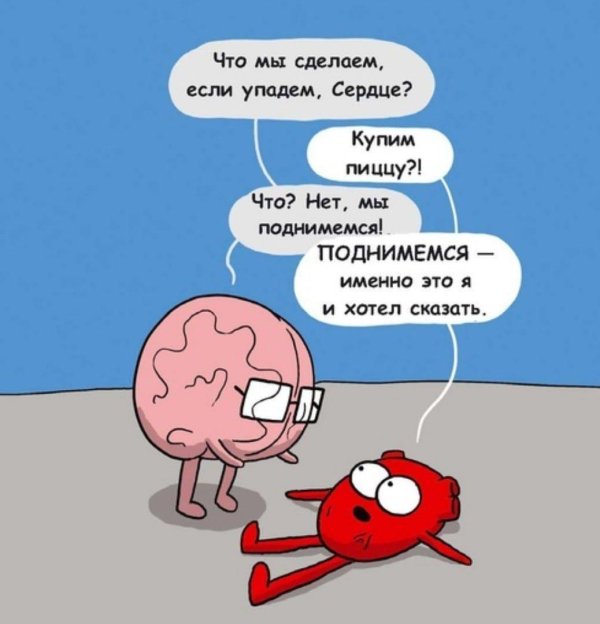 heart and brain