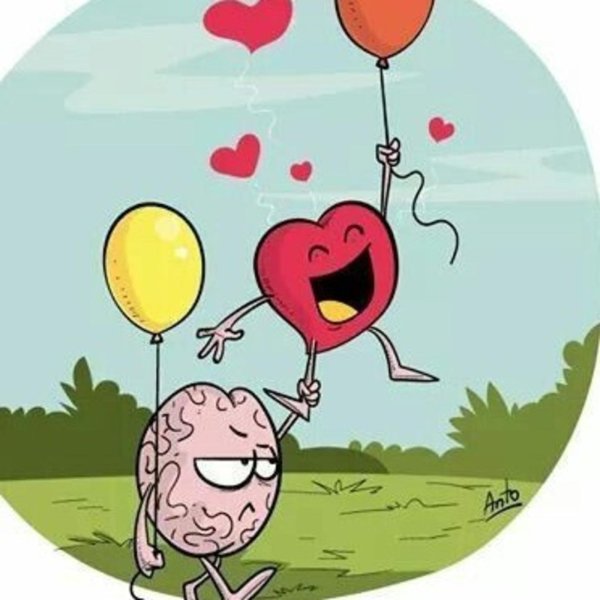 heart and brain