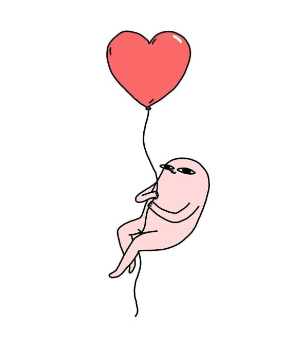 фасолька ketnipz