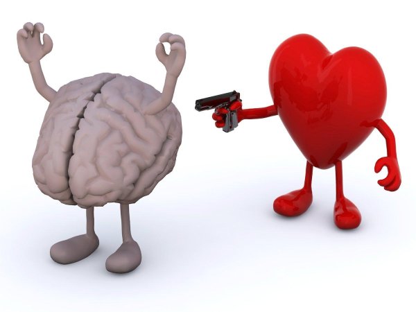 brain and heart
