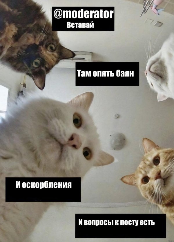 Наташа