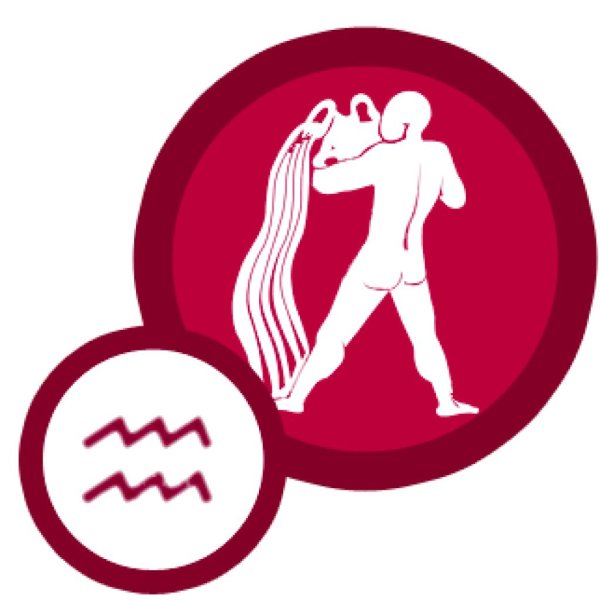 знак водолея символ