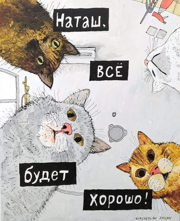 коты наташ