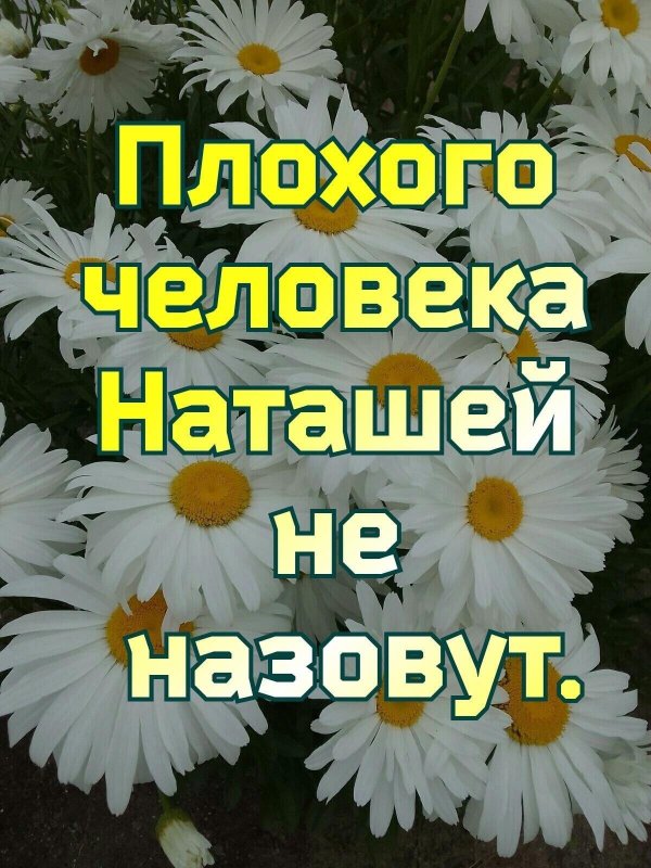 цветы для наташи