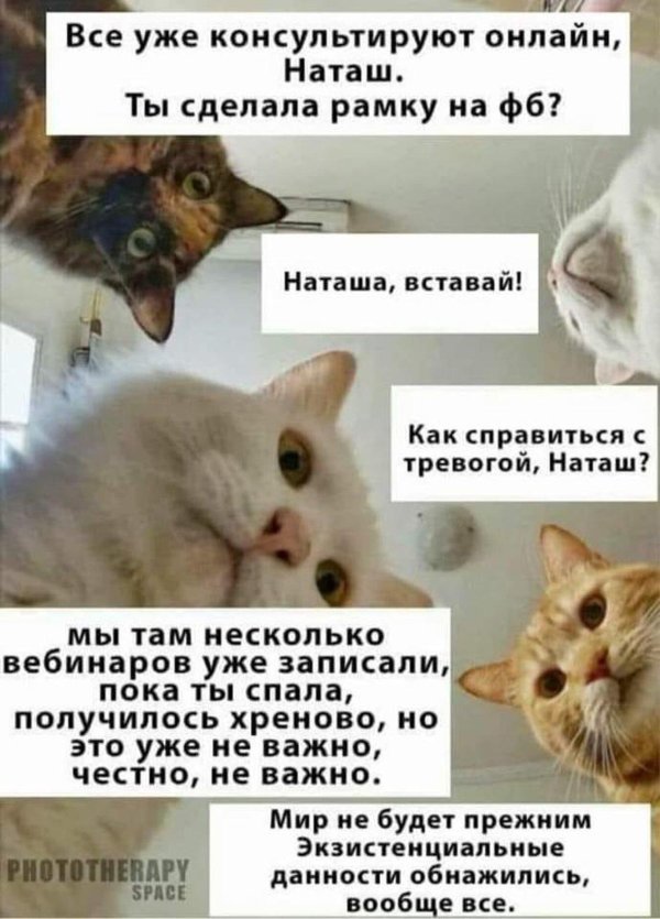 наташа вставай