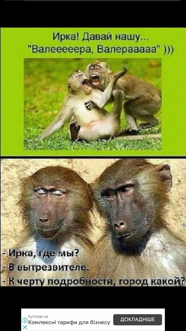 две обезьянки