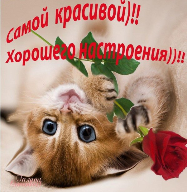 хорошего дня красотка