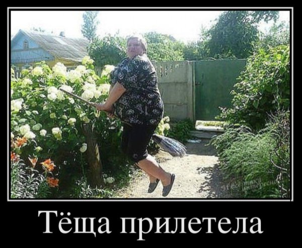 теща прилетела