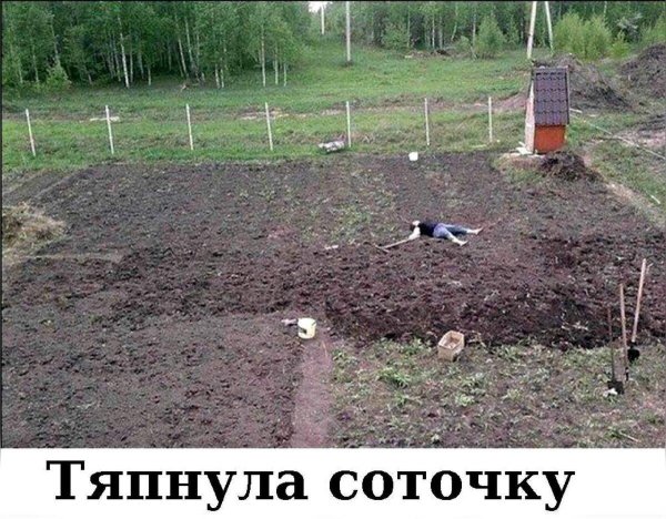 тяпнула соточку