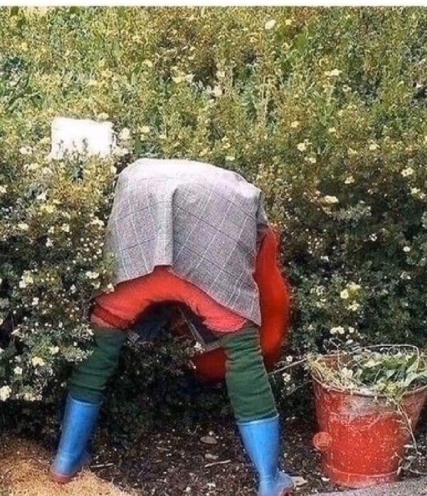 баба в огороде