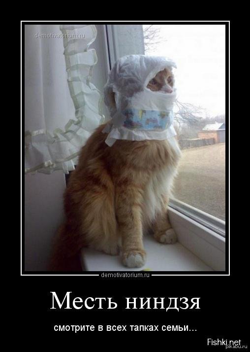 месть смешные картинки