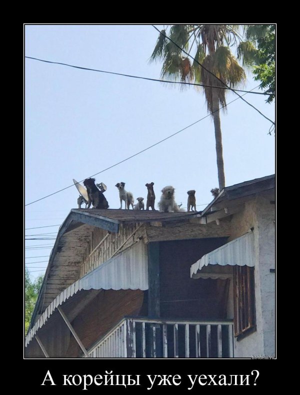 смешной юмор