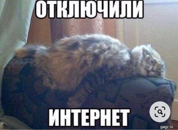 наконец то внуки уехали