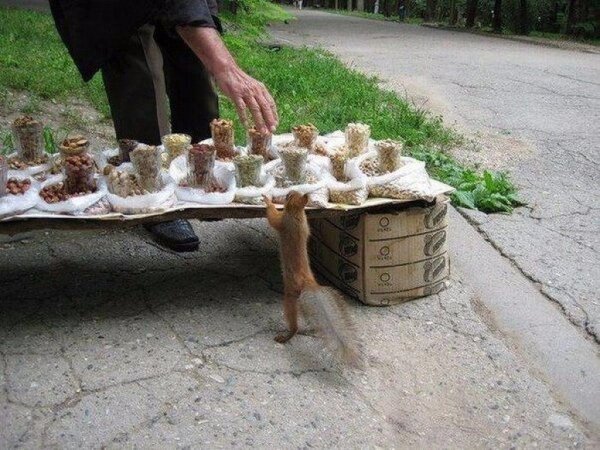 смешные приколы