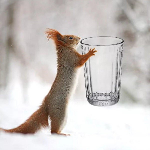 белочки вадим трунов