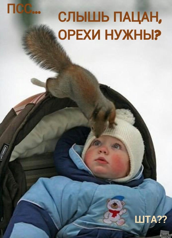 С белками