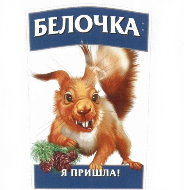 пришла белочка