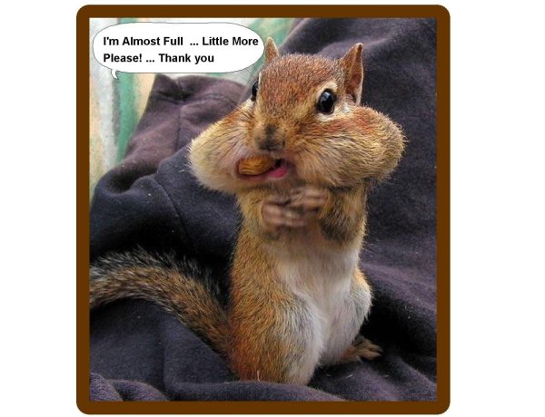 бурундук смешной