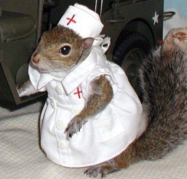 смешная медсестра