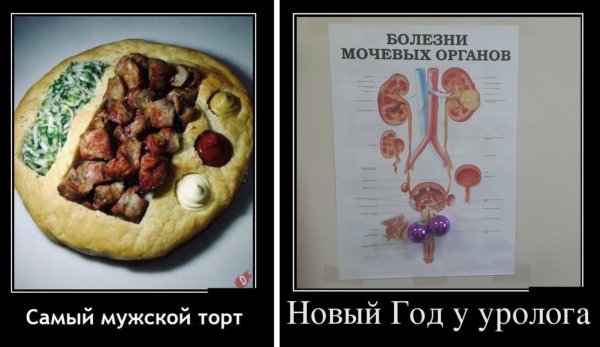 болезни мочевых органов