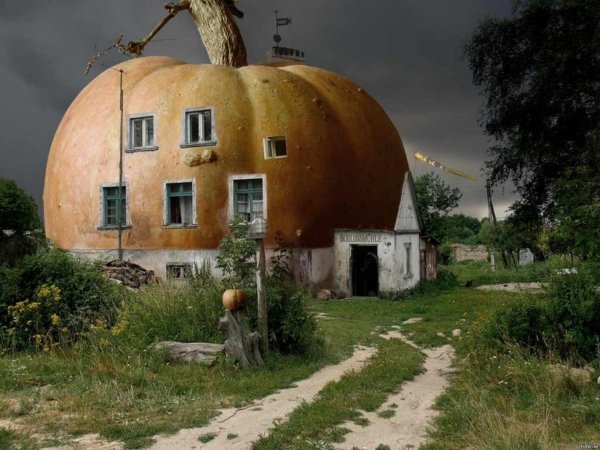 домик тыква