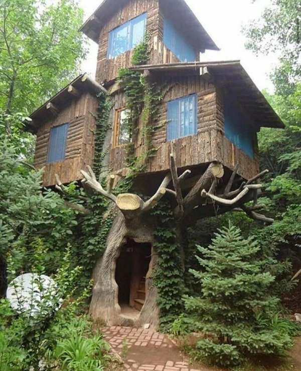 tree house