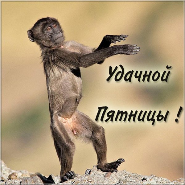 дожили до пятницы