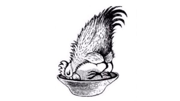 эскиз петуха