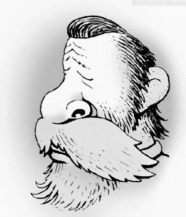 перевёртыши иллюзии валентин дубинин