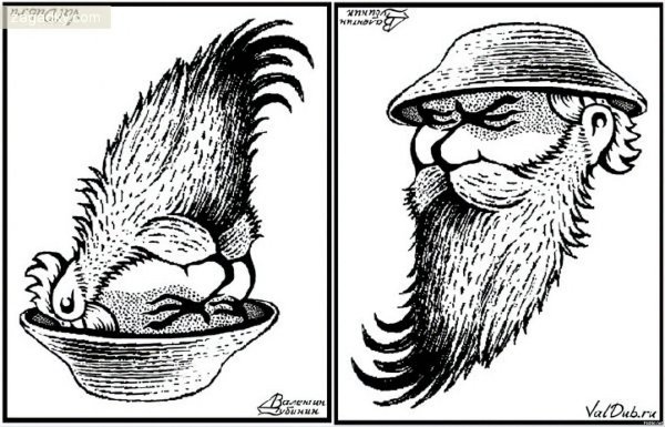 перевёртыши иллюзии валентин дубинин