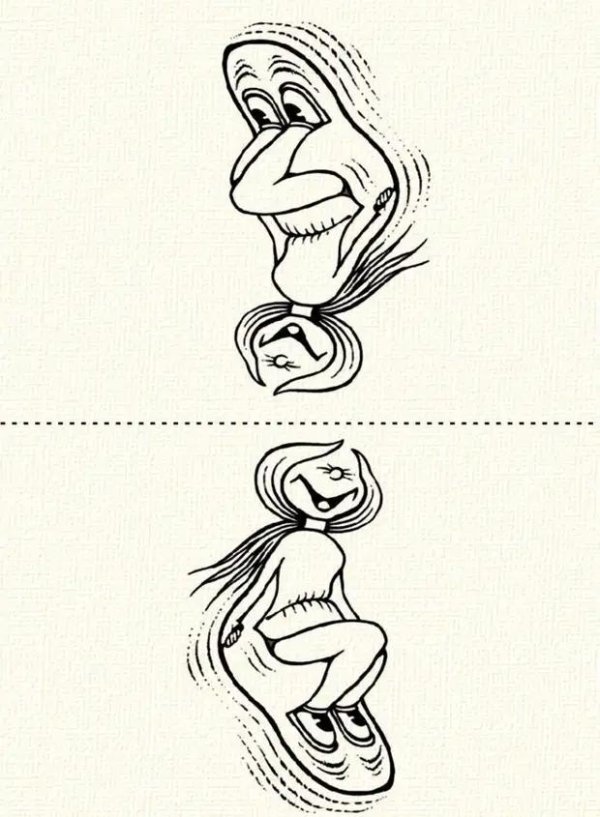 рисунок перевертыш