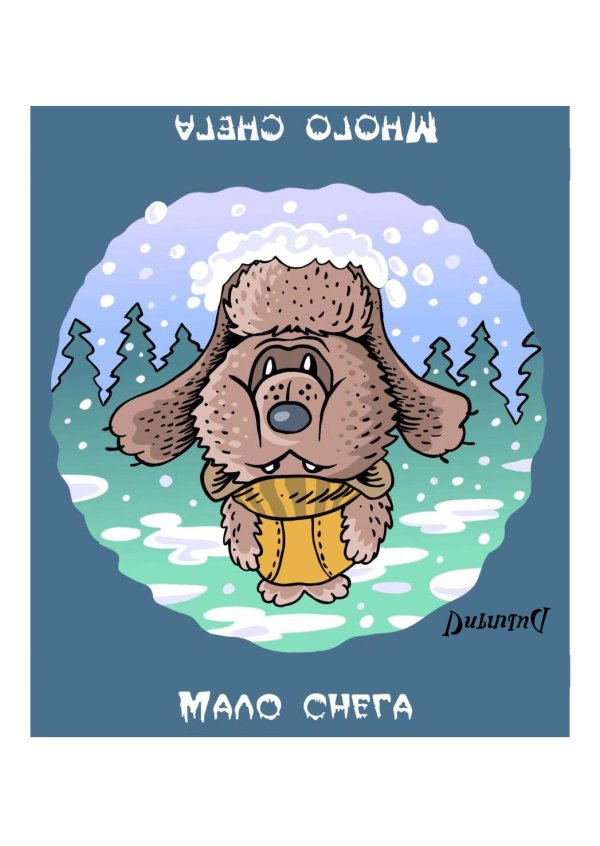 веселый медведь