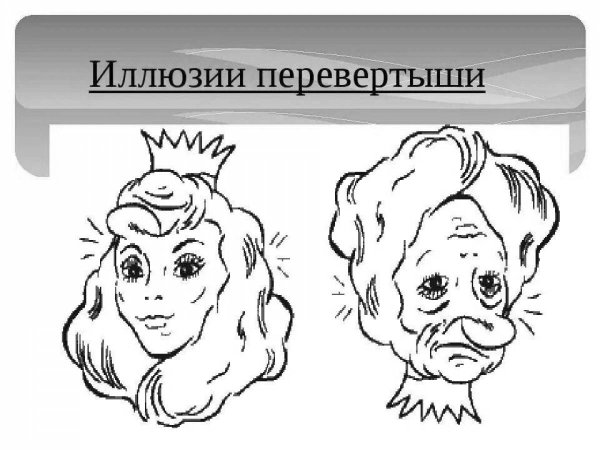 рисунок перевертыш