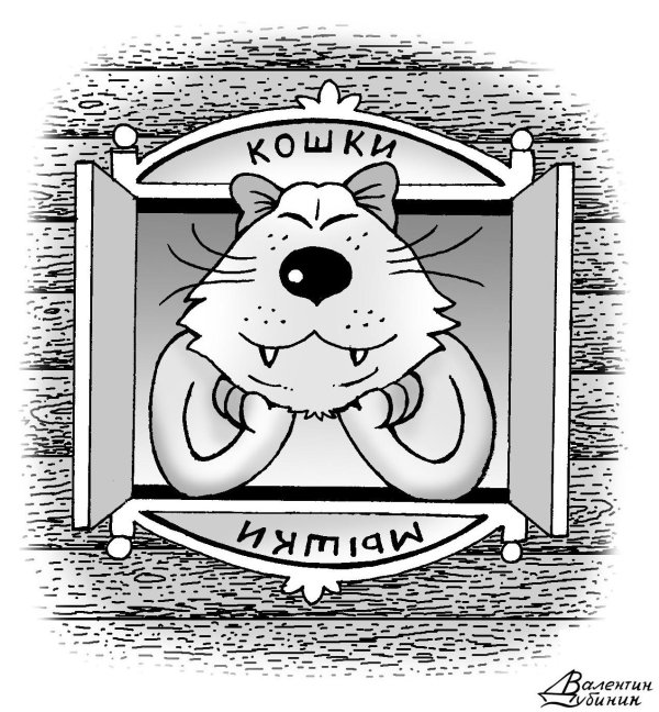 перевёртыши для детей