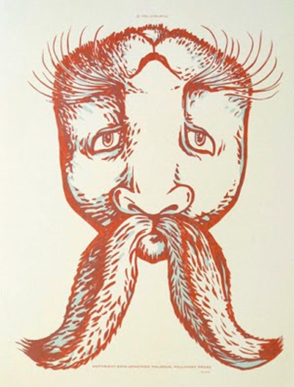 зрительная иллюзия