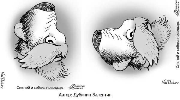 перевёртыши иллюзии валентин дубинин