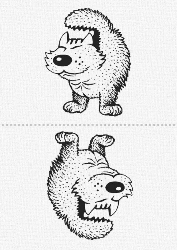рисунок перевёртыш