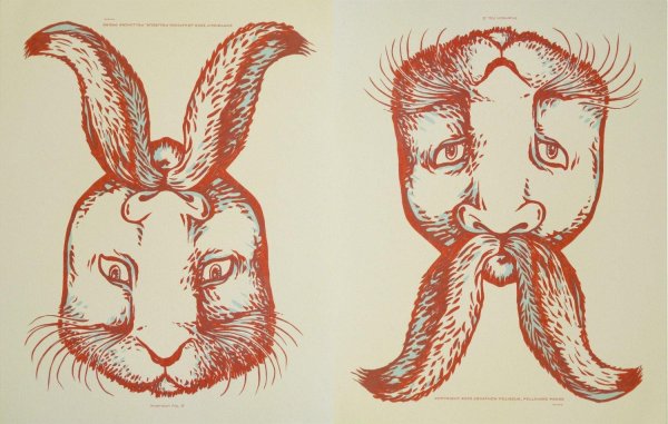 зрительная иллюзия