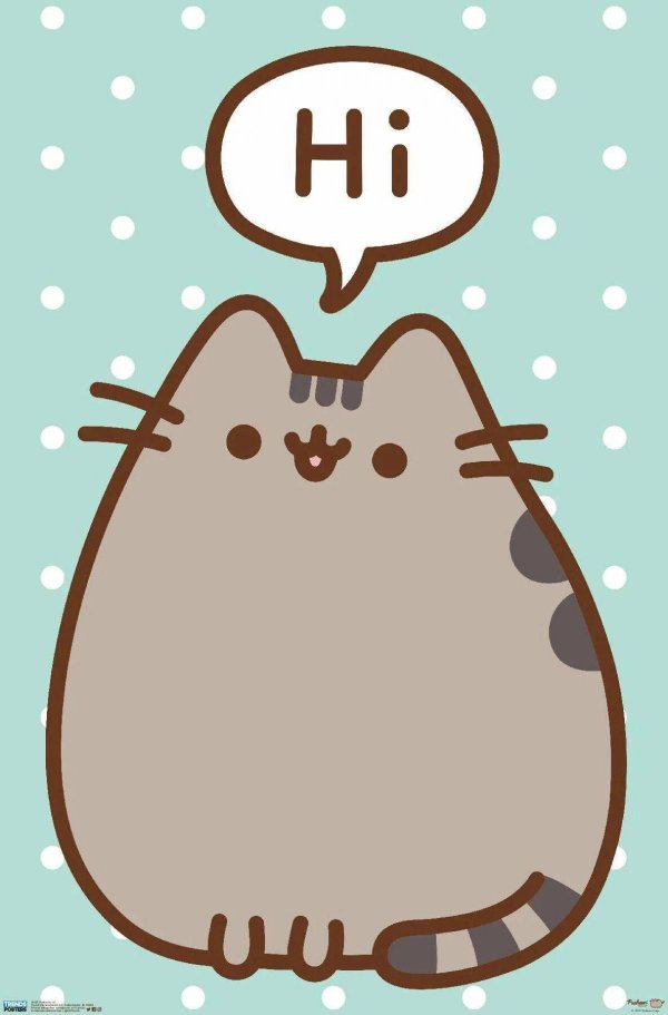 кот pusheen