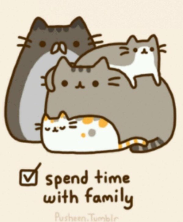 семья пушина кэт