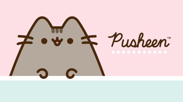 кот pusheen